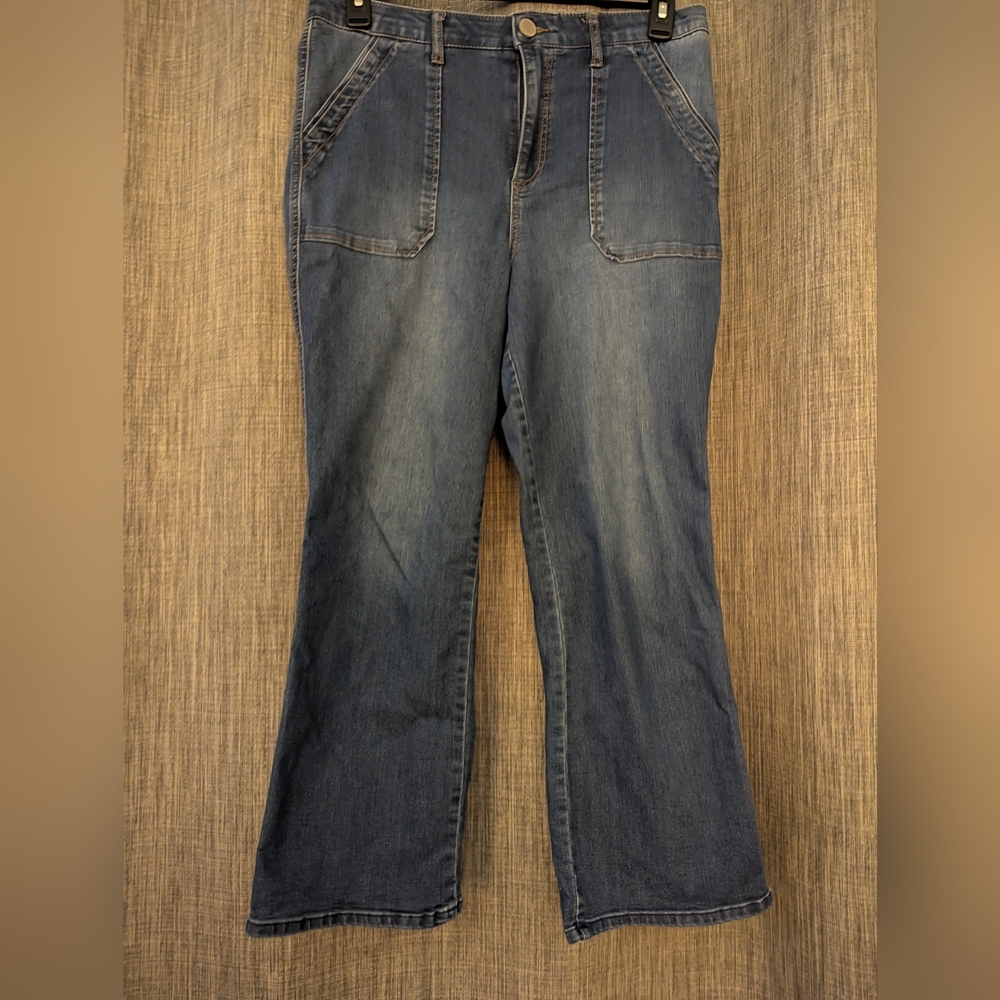 Democracy Indigo Denim Jeans